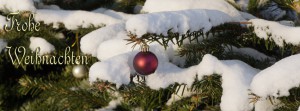 Weihnachtsschmuck 2 FB Banner Weihnachtsschmuck 2 FB Banner