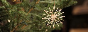 Weihnachtsstern Stroh FB Banner Weihnachtsstern Stroh FB Banner