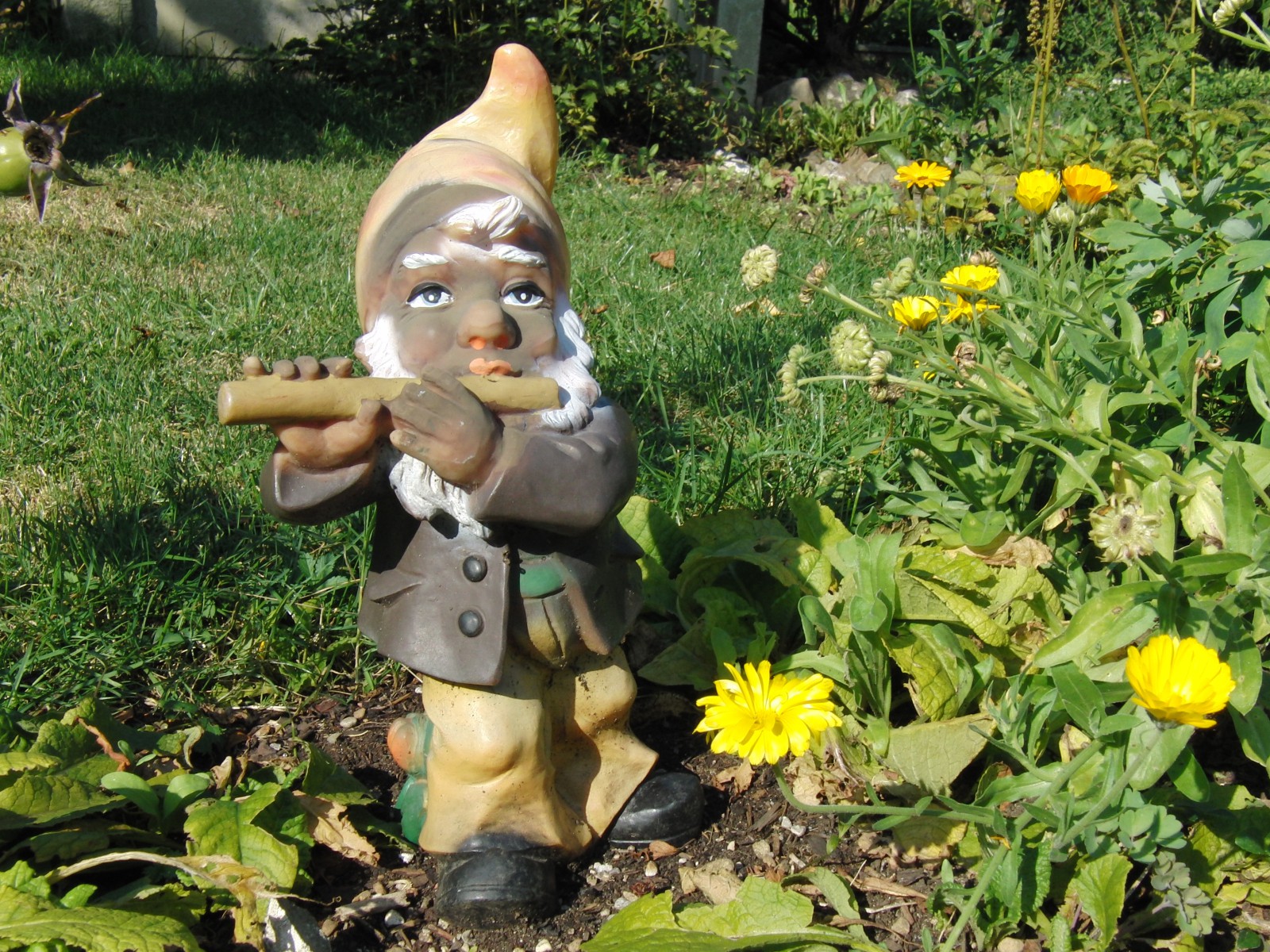 Braungebrannter Musikus Zwerg Braungebrannter Musikus Zwerg