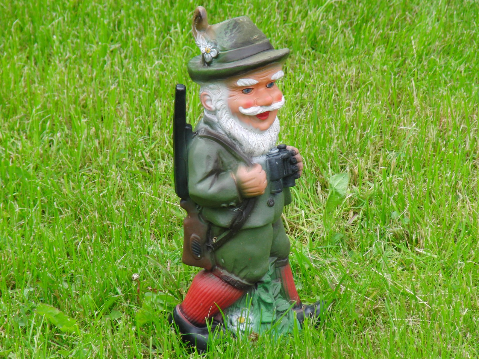 Försterzwerg auf der Wiese Försterzwerg auf der Wiese