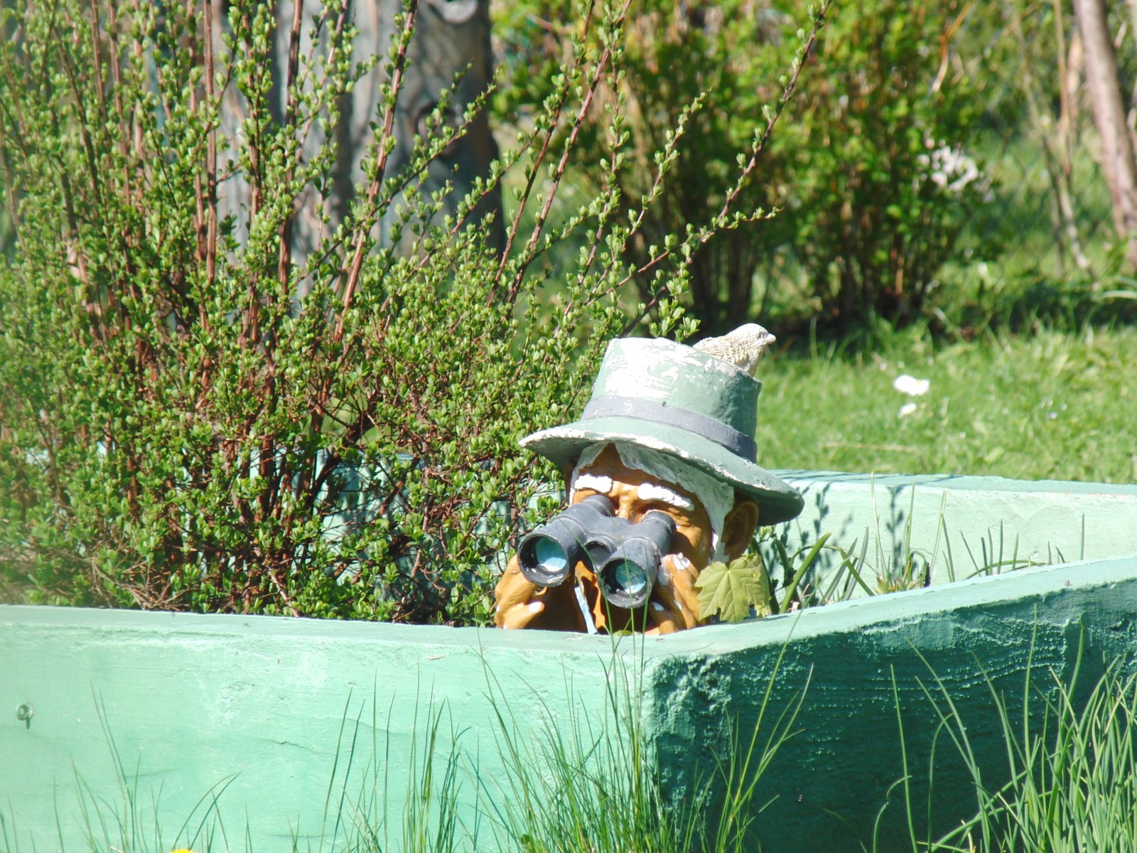 Gartenspion Gartenspion