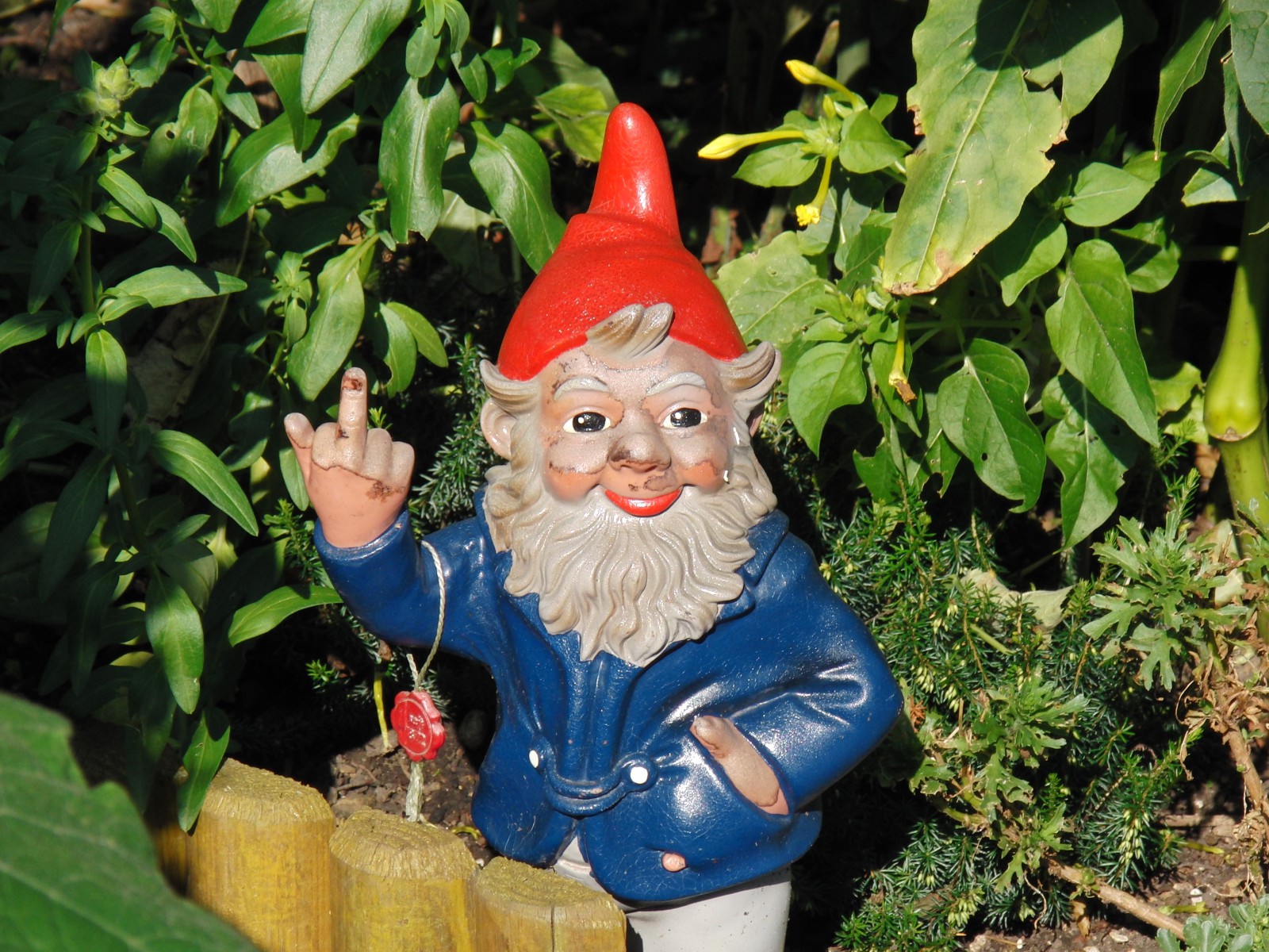 Gartenzwerg Kommentar Gartenzwerg Kommentar