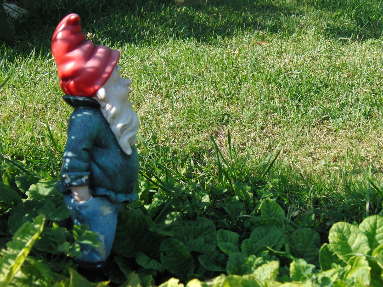 Gartenzwerg Rudi Gartenzwerg Rudi