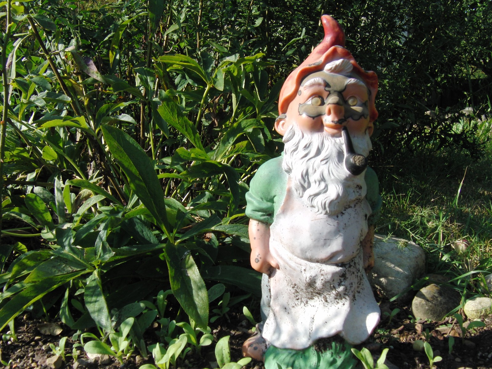 Gartenzwerg Wilhelm Gartenzwerg Wilhelm