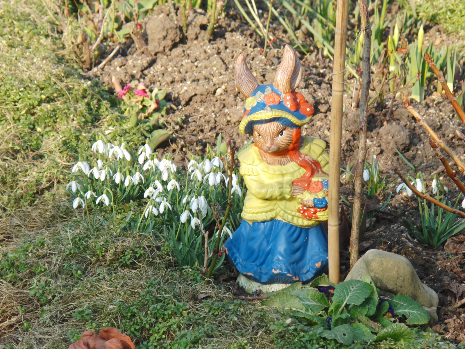 Hasendame im Frühling (Gartenzwerg) Hasendame im Frühling (Gartenzwerg)