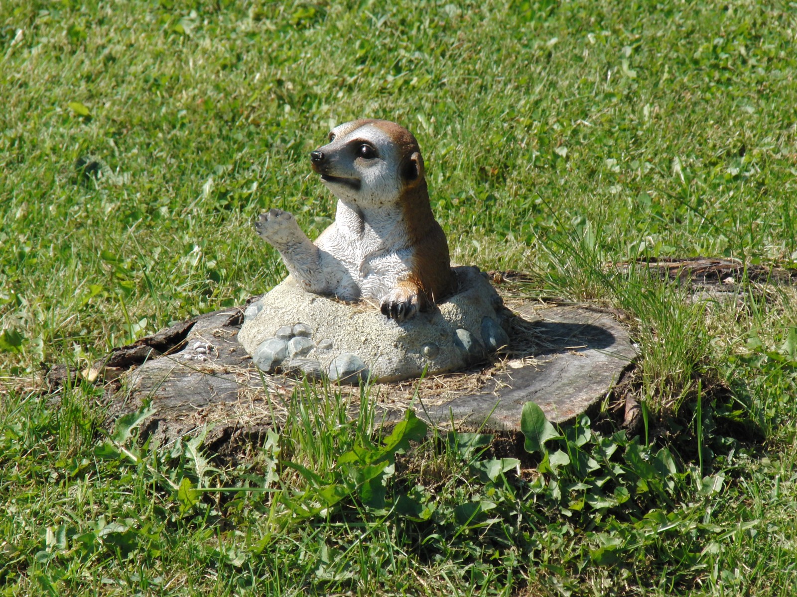 Maulwurf Figur Maulwurf Figur