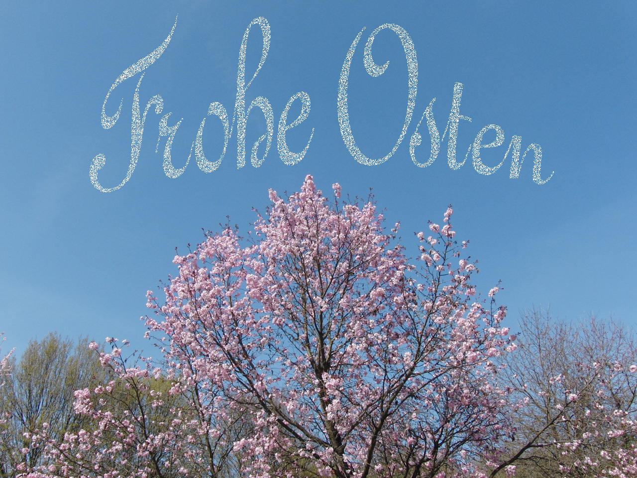 Frohe Ostern 1 Frohe Ostern 1