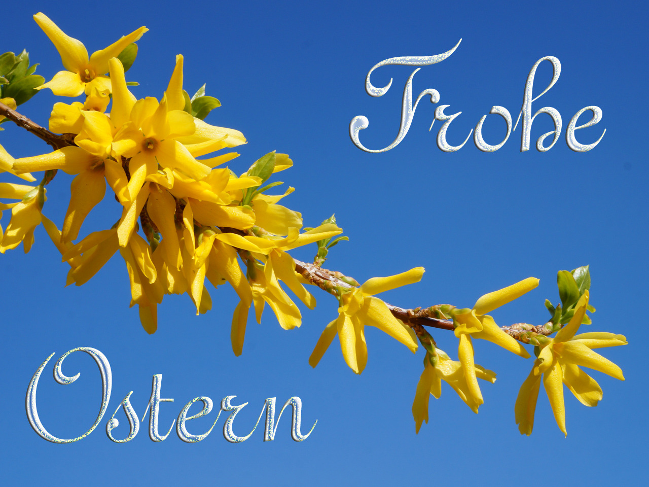 Frohe Ostern 2018 Frohe Ostern 2018