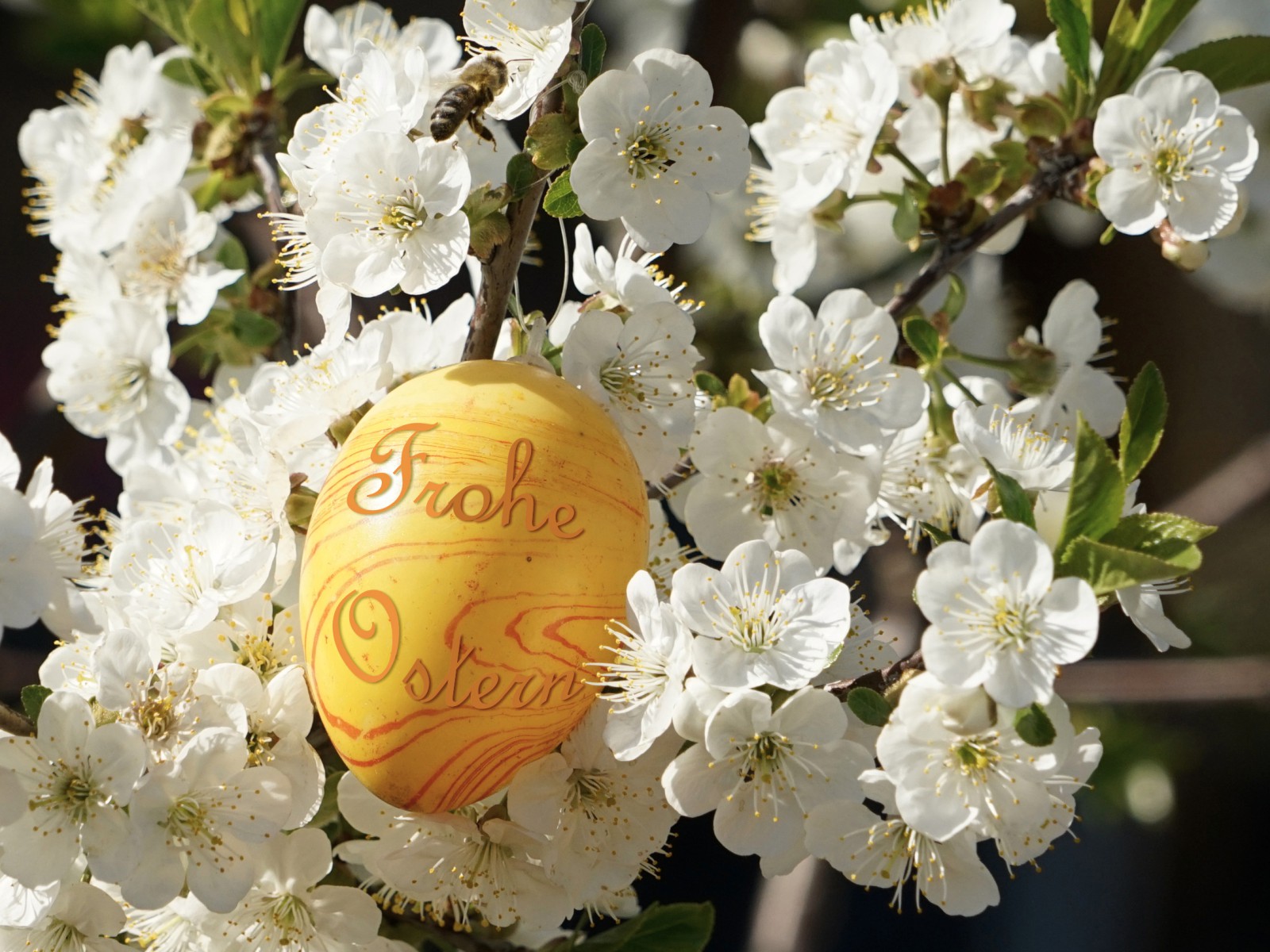 Frohe Ostern 2023 Frohe Ostern 2023