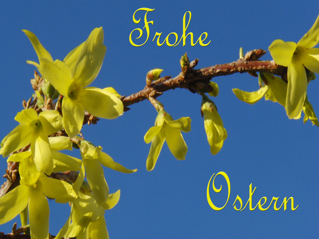 Frohe Ostern 3 Frohe Ostern 3
