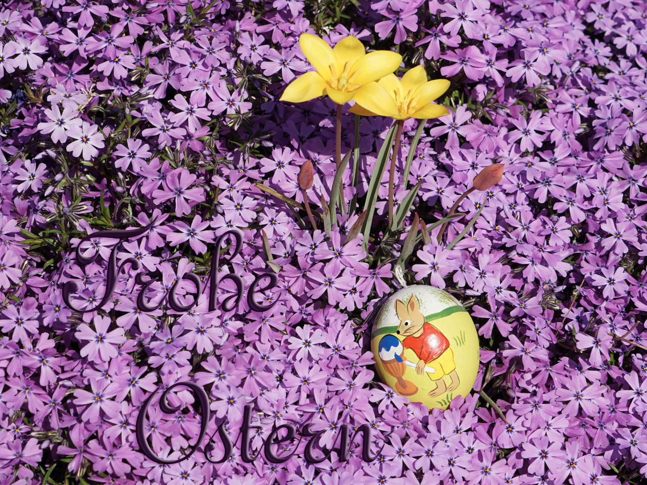 Frohe Ostern Blütenbeet   Frohe Ostern Blütenbeet