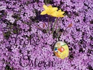 Frohe Ostern Blütenbeet Frohe Ostern Blütenbeet