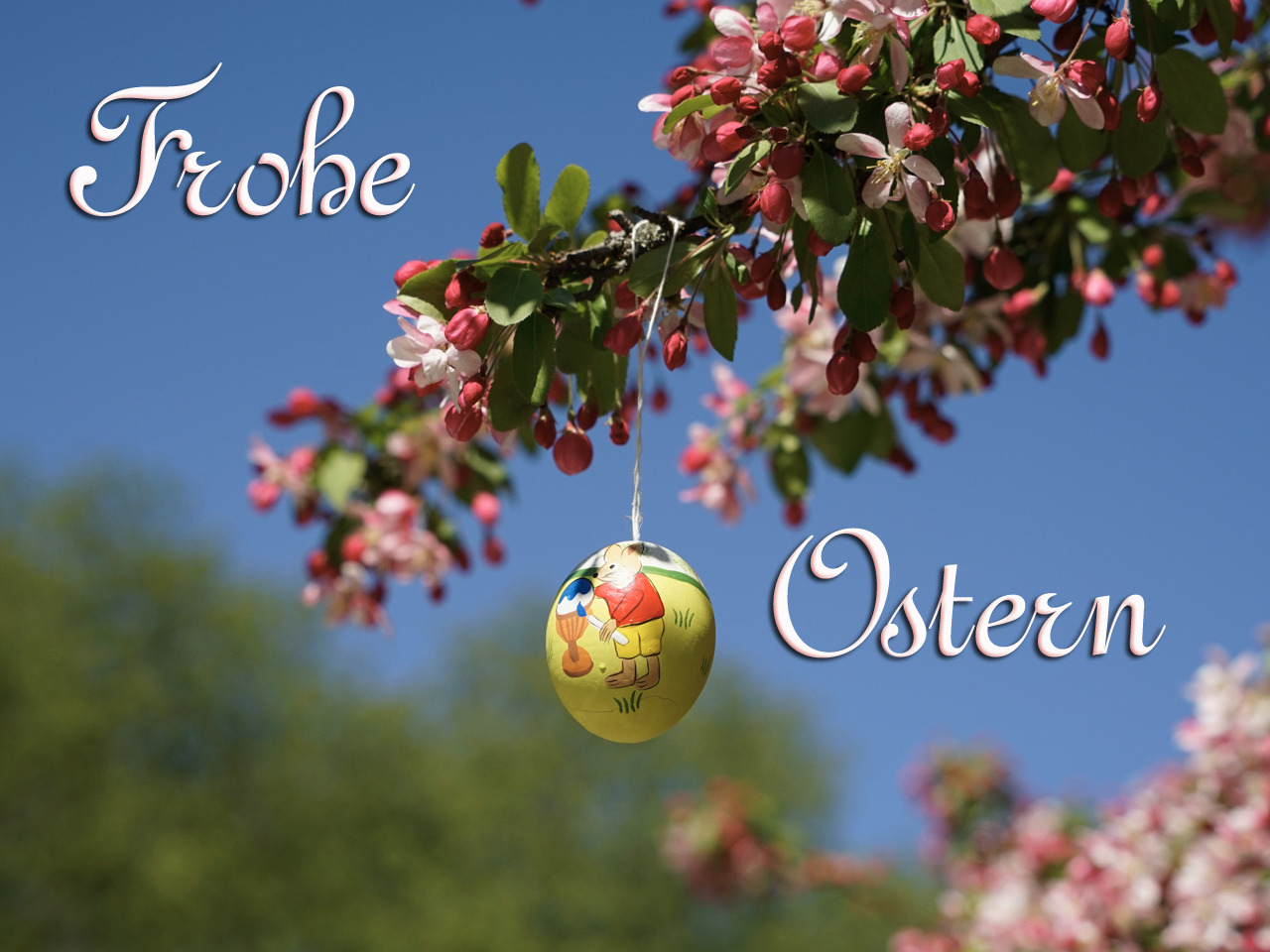 Frohe Ostern Ei am Blütenzweig Frohe Ostern Ei am Blütenzweig