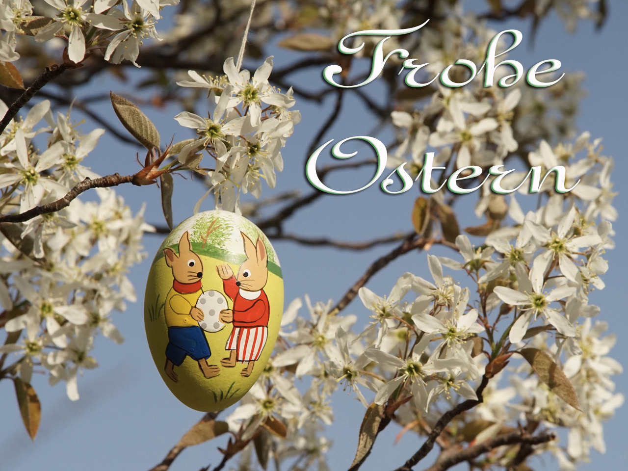 Frohe Ostern Ei und weiße Blüten  Frohe Ostern Ei und weiße Blüten