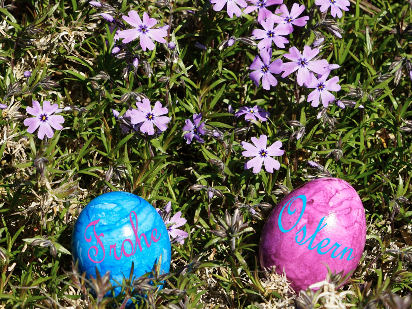 Frohe Ostern Eier  Frohe Ostern Eier