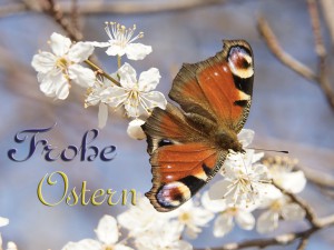 Frohe Ostern Pfauenauge Frohe Ostern Pfauenauge