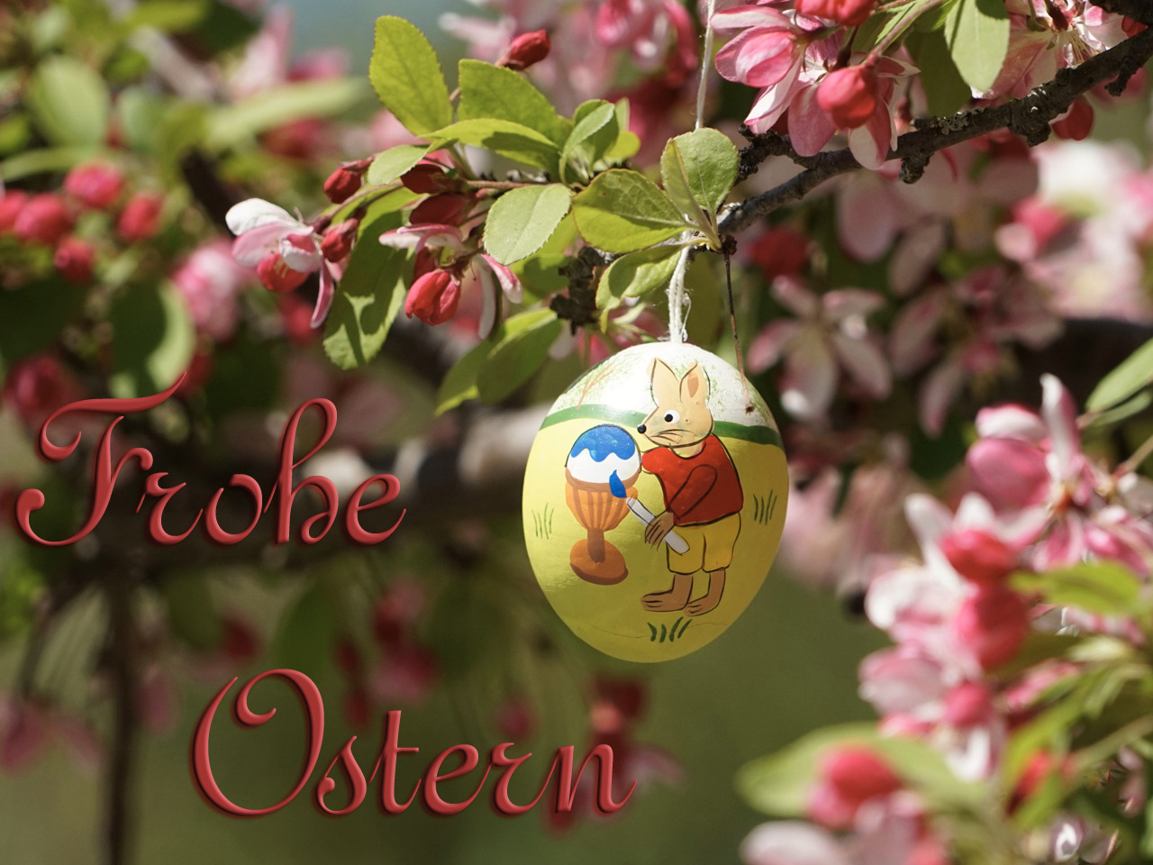 Osterkarte Blüten und Ei  Osterkarte Blüten und Ei