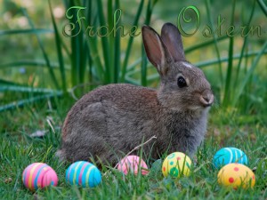 Osterkarte Hase mit Ostereier