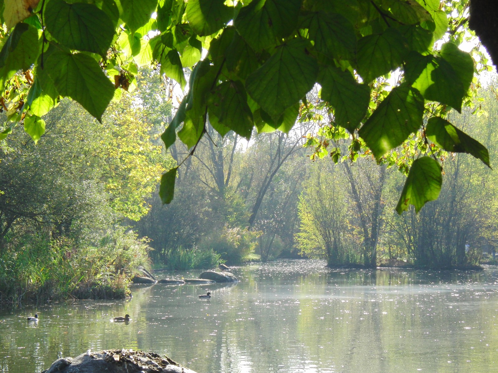 Parkteich im Herbst Parkteich im Herbst