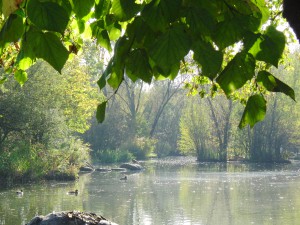 Parkteich im Herbst Parkteich im Herbst