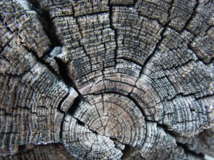 Holz alt grau Holz alt grau