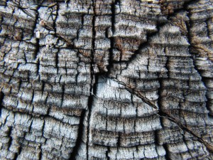 Holz alt und grau Holz alt und grau