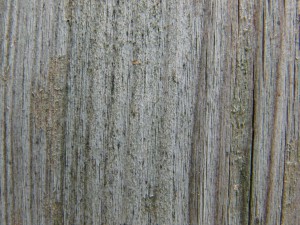 Holzbrett grau braun Holzbrett grau braun
