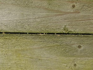 Holzbretter mit leichten Moosansatzt Holzbretter mit leichten Moosansatzt