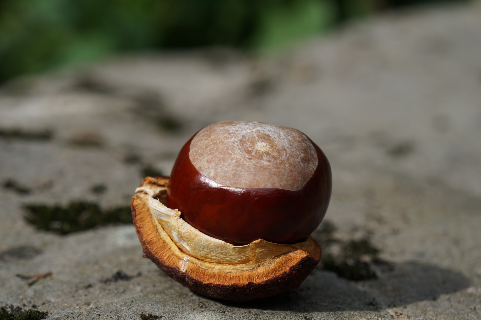 Gut gelandet Gut gelandet