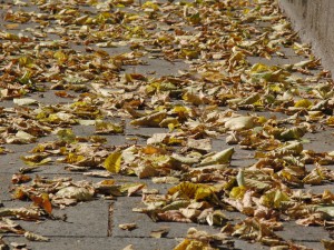 Herbstlaub auf Gehweg