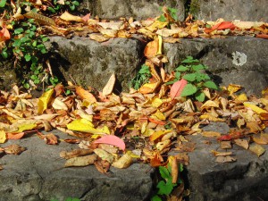Herbstlaub auf Steintreppen Herbstlaub auf Steintreppen