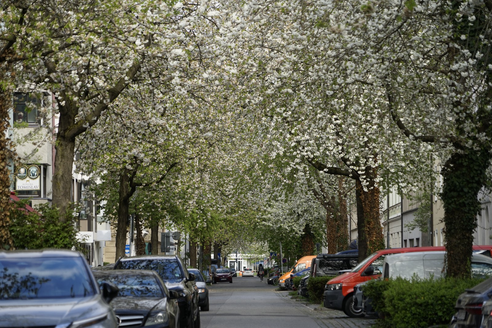 Blütenpracht im München- Westend