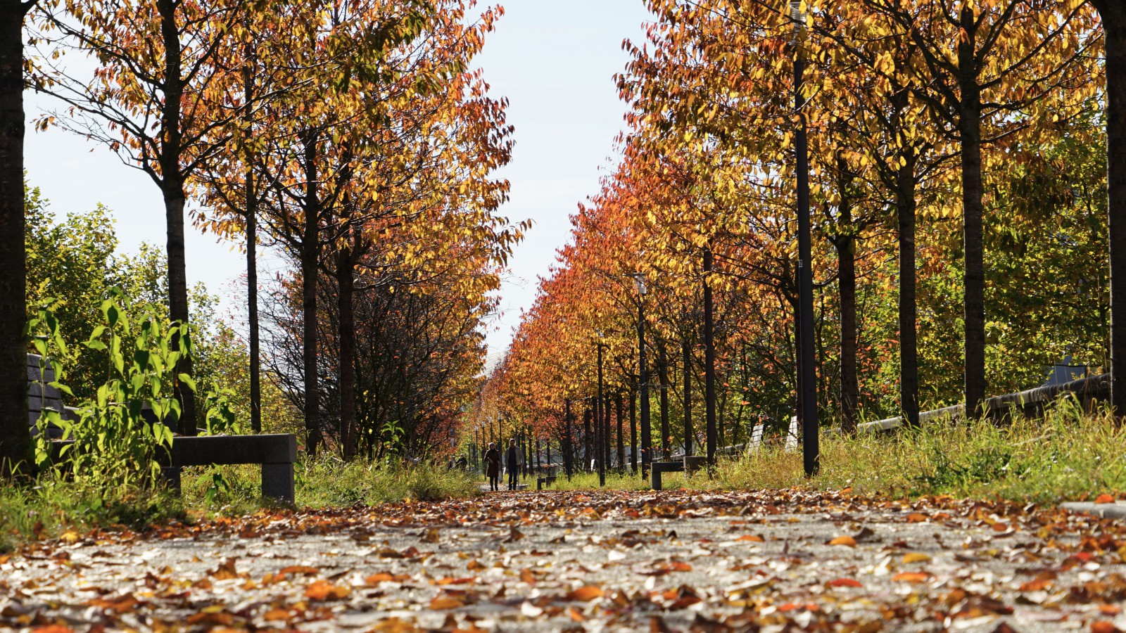 Herbst über dem Mittleren Ring Herbst über dem Mittleren Ring