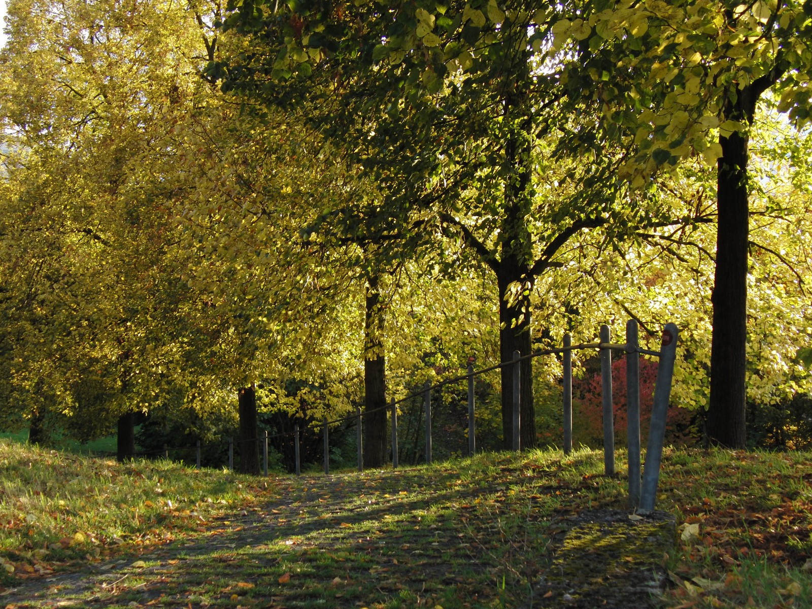 Herbstweg im Westpark Herbstweg im Westpark