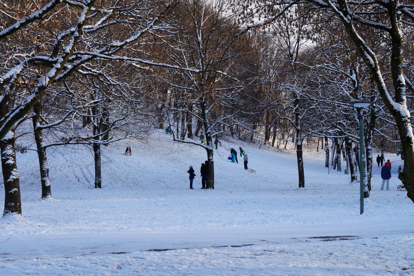 Schlittenspass im Westpark Schlittenspass im Westpark