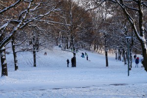 Schlittenspass im Westpark Schlittenspass im Westpark