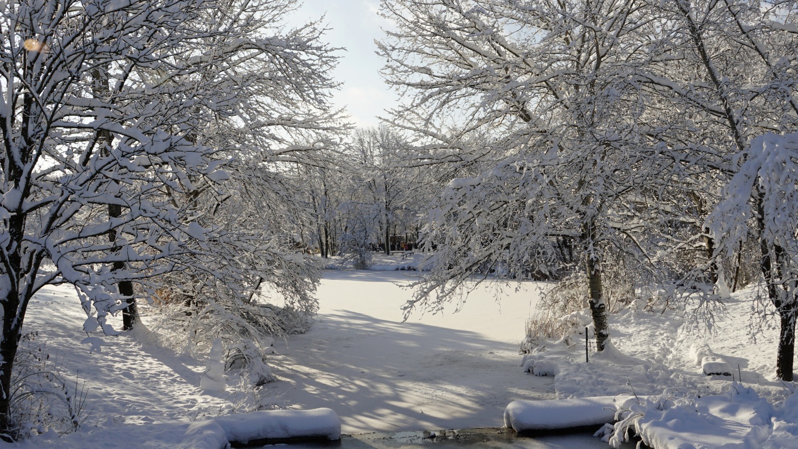 Schneewichtel im Westpark Schneewichtel im Westpark