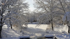 Schneewichtel im Westpark Schneewichtel im Westpark