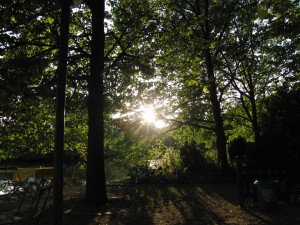 Sommerabend im Biergarten Sommerabend im Biergarten