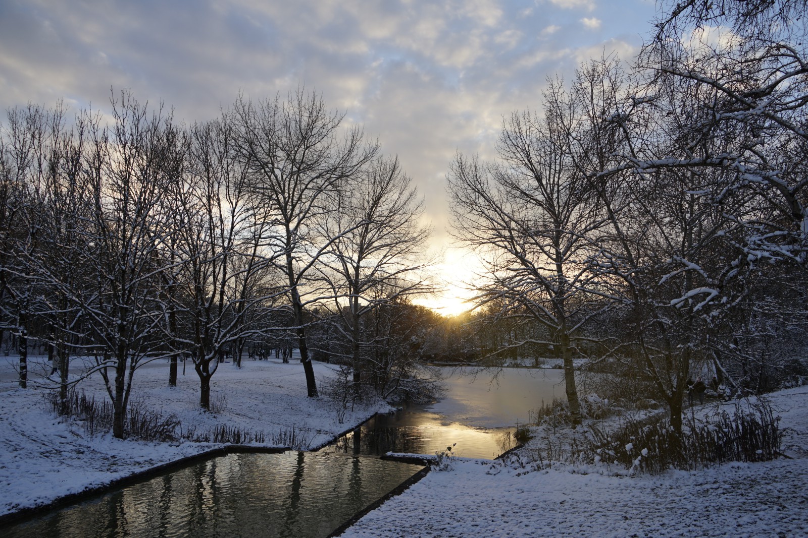 Sonnenuntergang im Westpark München Sonnenuntergang im Westpark München