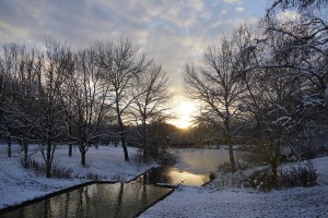 Sonnenuntergang im Westpark München Sonnenuntergang im Westpark München