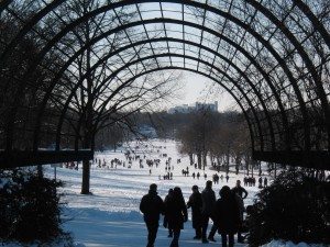 Winter im Westpark Winter im Westpark