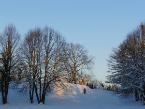 Winterspass im Westpark Winterspass im Westpark