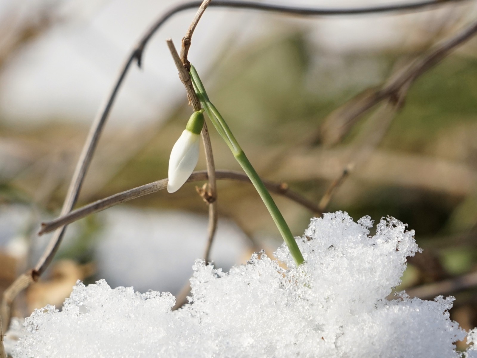 Raus an die Frühlingssonne Raus an die Frühlingssonne