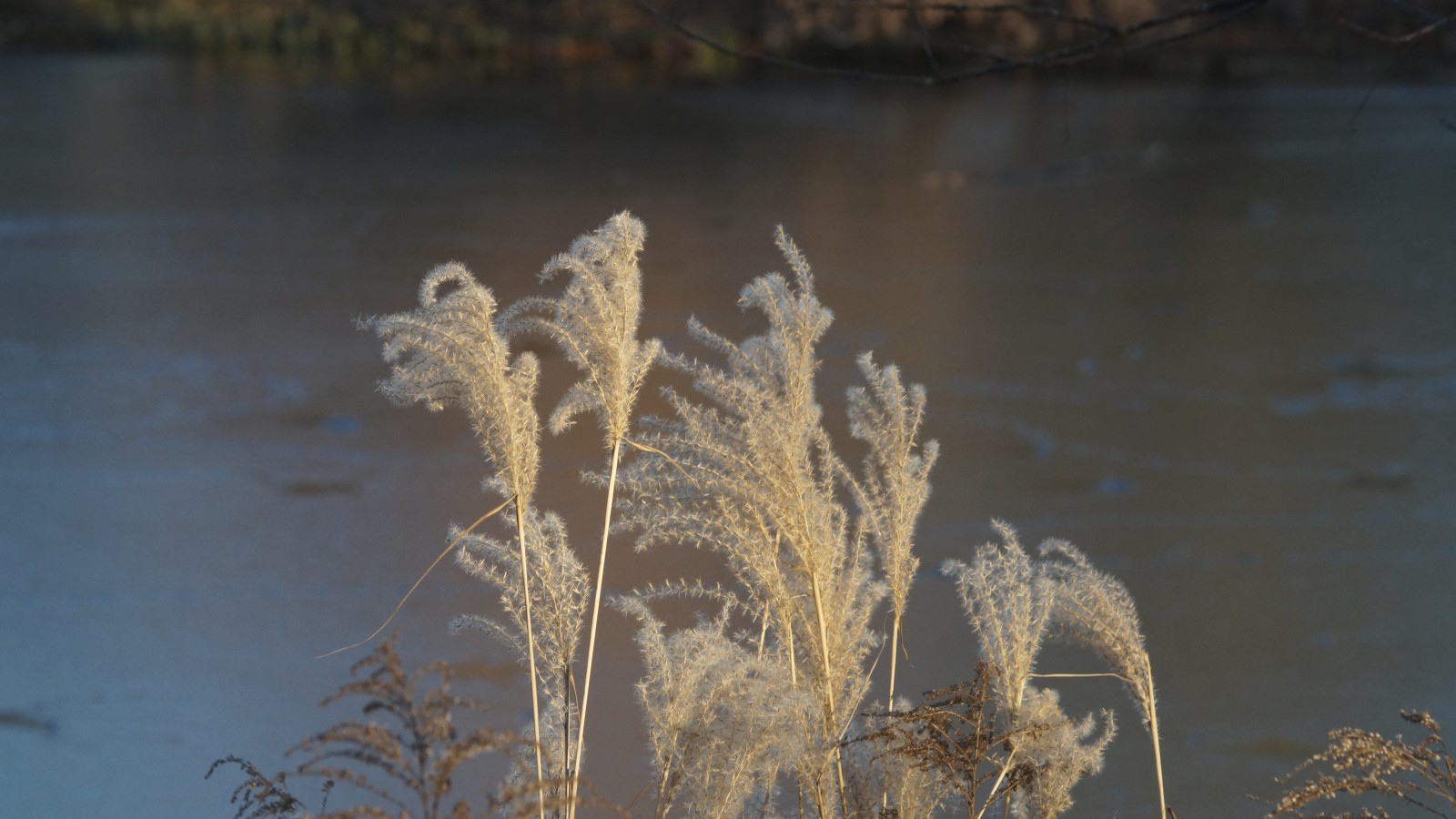 Dem Winter nahe  Dem Winter nahe