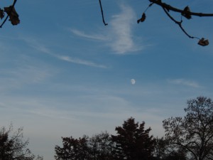 Mond am Novemberabend Mond am Novemberabend