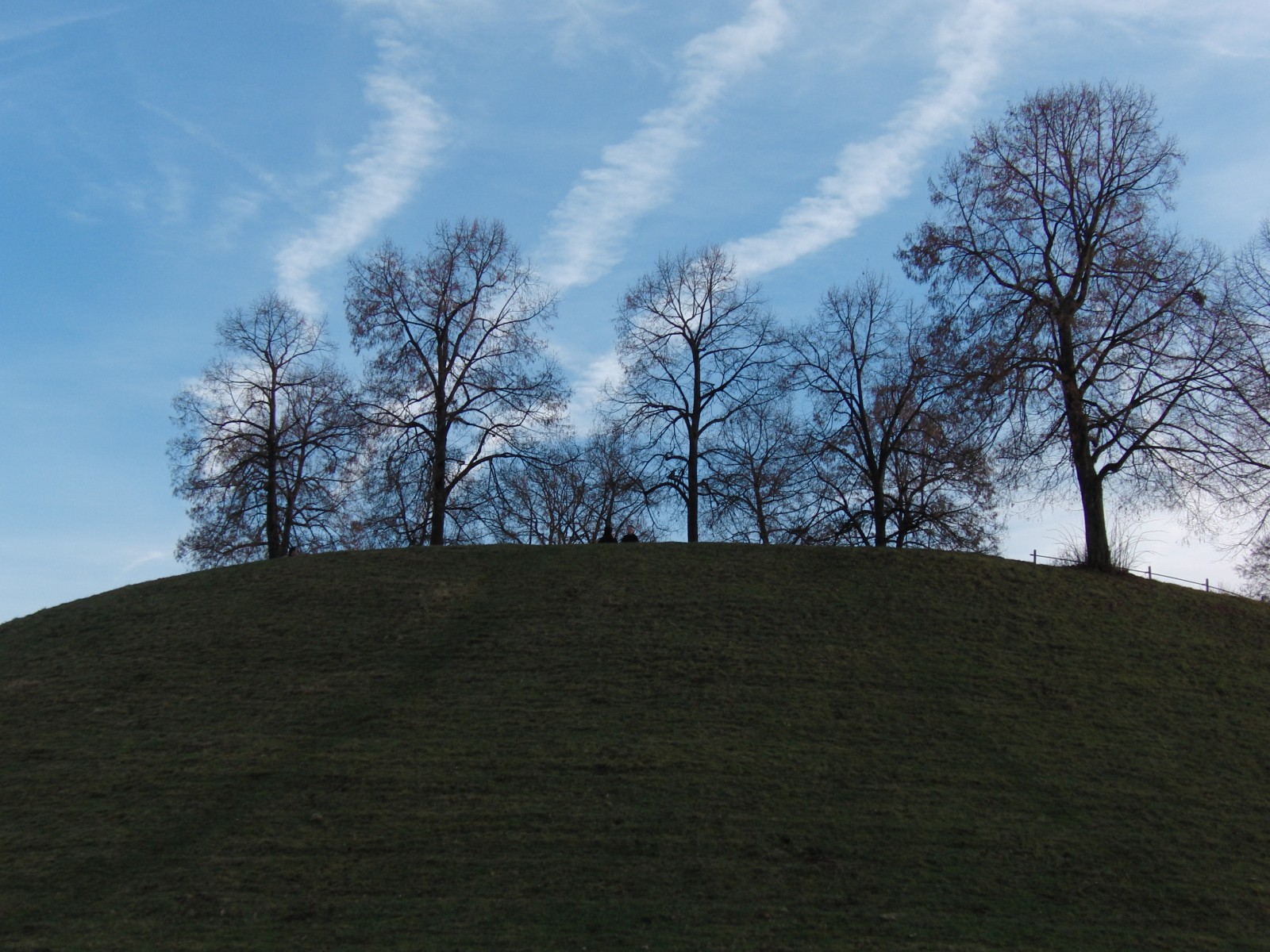 Parkhügel vor blauen Novemberhimmel Parkhügel vor blauen Novemberhimmel