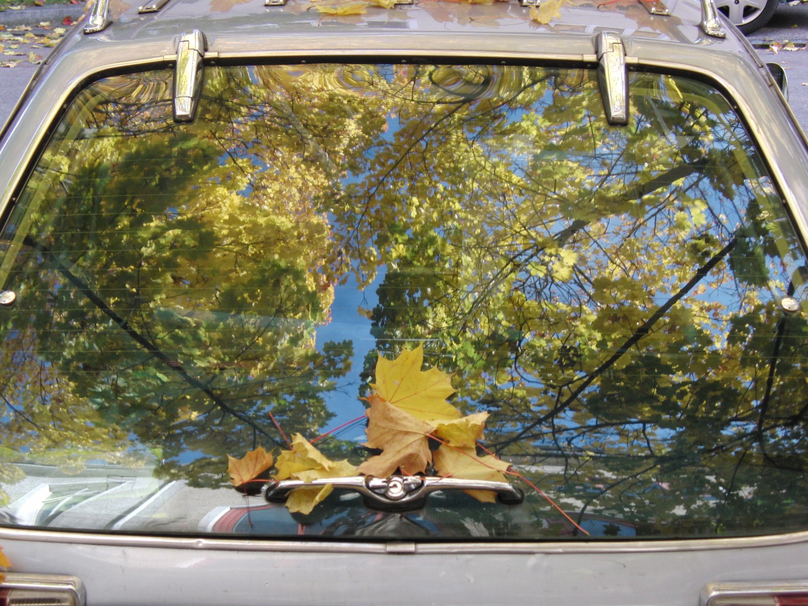 Heckscheibe Schneewittchensarg im Herbst Heckscheibe Schneewittchensarg im Herbst