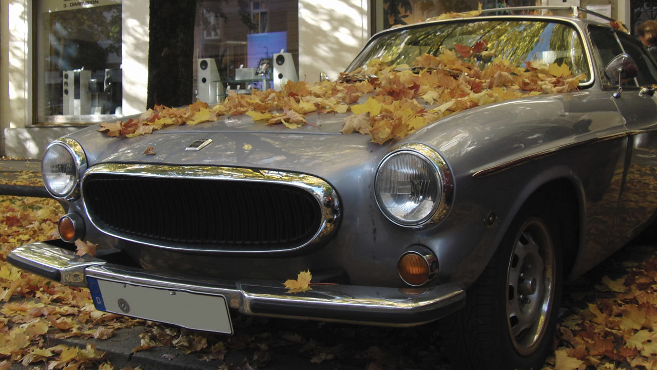 Volvo-Schneewitchensarg mit Herbstlaub Volvo-Schneewitchensarg mit Herbstlaub