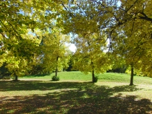 Herbstleuchten im Park